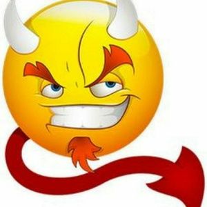 Meet your Posher, Bella